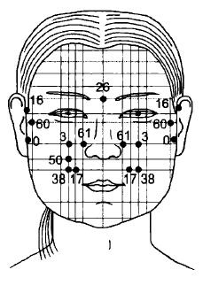 Иллюстрация к книге — Чистка суставов. Современные и традиционные методы [i_008.jpg]