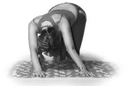 Иллюстрация к книге — Кинезитерапия суставов и позвоночника [i_025.jpg]