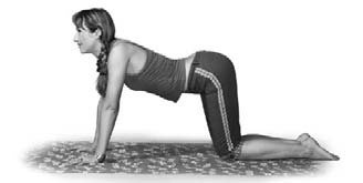 Иллюстрация к книге — Кинезитерапия суставов и позвоночника [i_042.jpg]