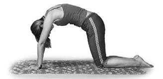 Иллюстрация к книге — Кинезитерапия суставов и позвоночника [i_043.jpg]