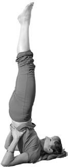 Иллюстрация к книге — Кинезитерапия суставов и позвоночника [i_100.jpg]