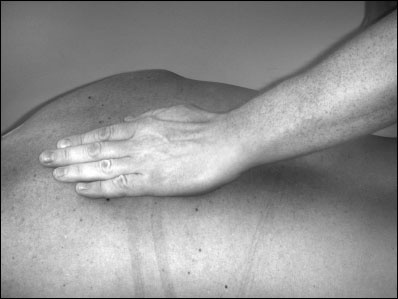 Иллюстрация к книге — Массаж от классики до экзотики. Полная энциклопедия систем, видов, техник, методик [i_022.jpg]