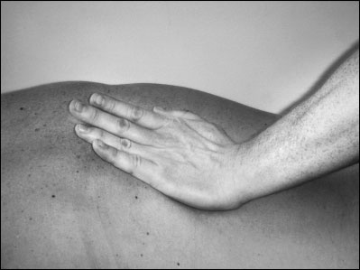 Иллюстрация к книге — Массаж от классики до экзотики. Полная энциклопедия систем, видов, техник, методик [i_031.jpg]