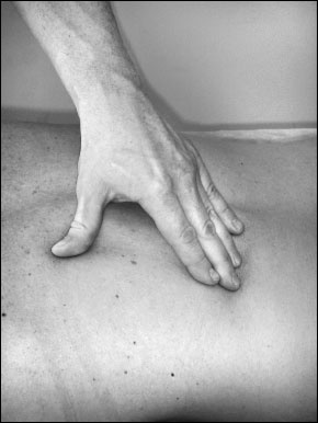 Иллюстрация к книге — Массаж от классики до экзотики. Полная энциклопедия систем, видов, техник, методик [i_039.jpg]