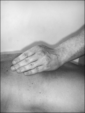 Иллюстрация к книге — Массаж от классики до экзотики. Полная энциклопедия систем, видов, техник, методик [i_048.jpg]