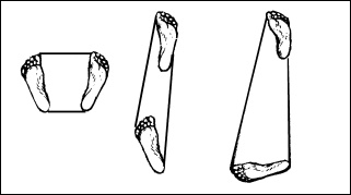 Иллюстрация к книге — Массаж от классики до экзотики. Полная энциклопедия систем, видов, техник, методик [i_070.jpg]