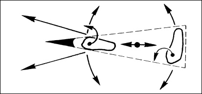 Иллюстрация к книге — Массаж от классики до экзотики. Полная энциклопедия систем, видов, техник, методик [i_071.jpg]