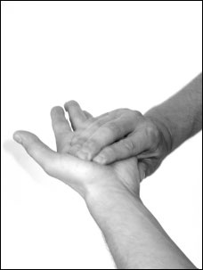 Иллюстрация к книге — Массаж от классики до экзотики. Полная энциклопедия систем, видов, техник, методик [i_076.jpg]