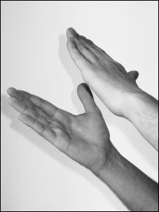 Иллюстрация к книге — Массаж от классики до экзотики. Полная энциклопедия систем, видов, техник, методик [i_077.jpg]