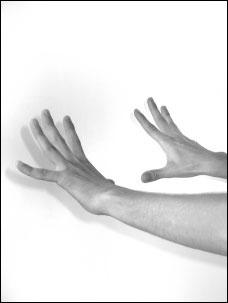 Иллюстрация к книге — Массаж от классики до экзотики. Полная энциклопедия систем, видов, техник, методик [i_081.jpg]