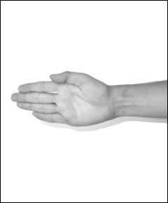 Иллюстрация к книге — Массаж от классики до экзотики. Полная энциклопедия систем, видов, техник, методик [i_082.jpg]