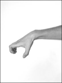 Иллюстрация к книге — Массаж от классики до экзотики. Полная энциклопедия систем, видов, техник, методик [i_083.jpg]