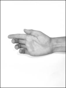 Иллюстрация к книге — Массаж от классики до экзотики. Полная энциклопедия систем, видов, техник, методик [i_084.jpg]