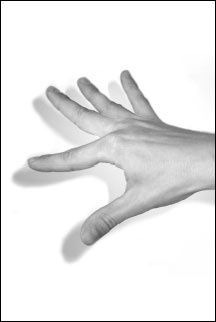 Иллюстрация к книге — Массаж от классики до экзотики. Полная энциклопедия систем, видов, техник, методик [i_087.jpg]