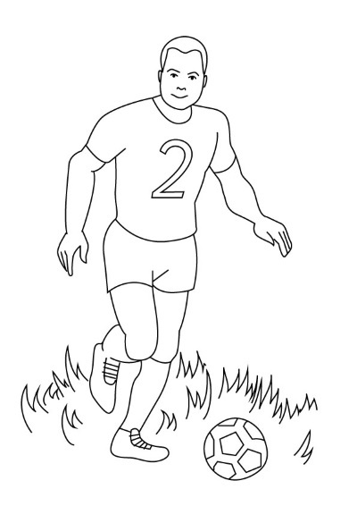 Иллюстрация к книге — 1000 ответов на вопросы, как вернуть здоровье [i_009.jpg]