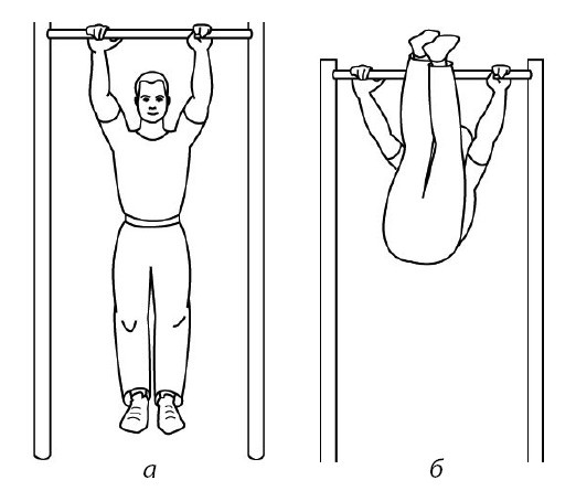 Иллюстрация к книге — 1000 ответов на вопросы, как вернуть здоровье [i_025.jpg]