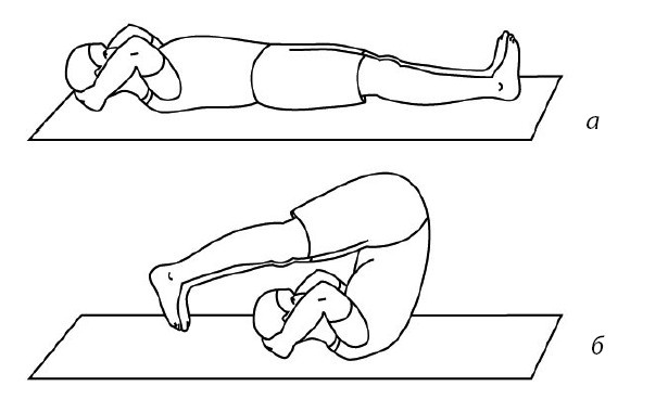 Иллюстрация к книге — 1000 ответов на вопросы, как вернуть здоровье [i_026.jpg]