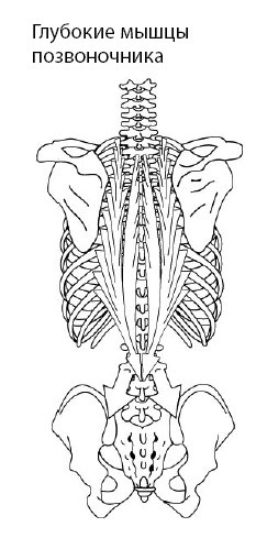 Иллюстрация к книге — 1000 ответов на вопросы, как вернуть здоровье [i_050.jpg]