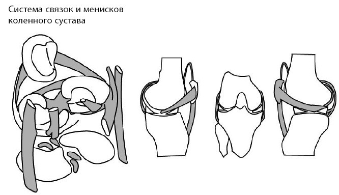 Иллюстрация к книге — 1000 ответов на вопросы, как вернуть здоровье [i_063.jpg]