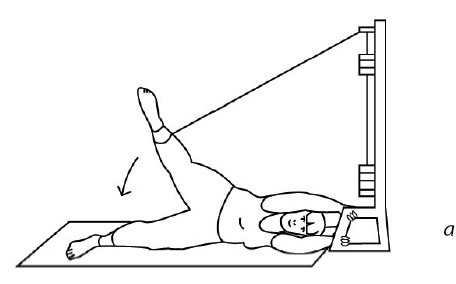 Иллюстрация к книге — 1000 ответов на вопросы, как вернуть здоровье [i_090.jpg]