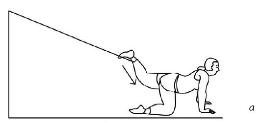 Иллюстрация к книге — 1000 ответов на вопросы, как вернуть здоровье [i_092.jpg]