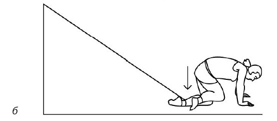 Иллюстрация к книге — 1000 ответов на вопросы, как вернуть здоровье [i_093.jpg]