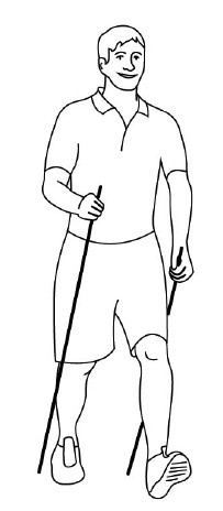 Иллюстрация к книге — 1000 ответов на вопросы, как вернуть здоровье [i_096.jpg]