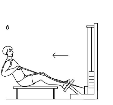 Иллюстрация к книге — 1000 ответов на вопросы, как вернуть здоровье [i_104.jpg]