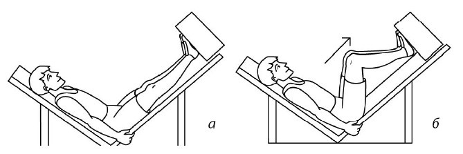 Иллюстрация к книге — 1000 ответов на вопросы, как вернуть здоровье [i_105.jpg]