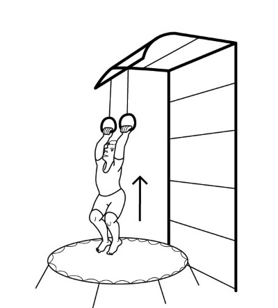 Иллюстрация к книге — 1000 ответов на вопросы, как вернуть здоровье [i_112.jpg]