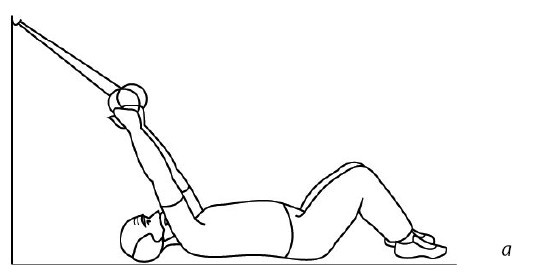 Иллюстрация к книге — 1000 ответов на вопросы, как вернуть здоровье [i_115.jpg]