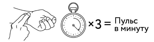 Иллюстрация к книге — 1000 ответов на вопросы, как вернуть здоровье [i_121.jpg]