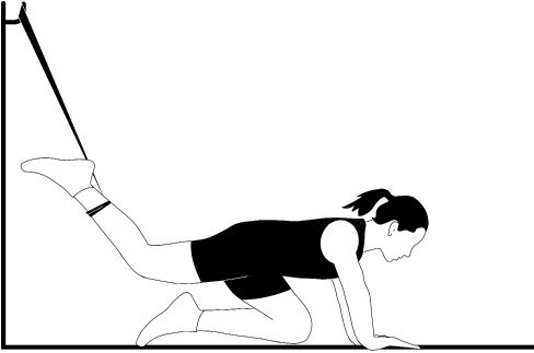 Иллюстрация к книге — Жизнь после травмы, или Код здоровья [i_079.jpg]