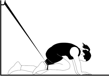 Иллюстрация к книге — Жизнь после травмы, или Код здоровья [i_080.jpg]