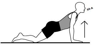 Иллюстрация к книге — Здоровые сосуды, или Зачем человеку мышцы? [Autogen_eBook_id11.jpg]