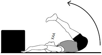 Иллюстрация к книге — Здоровые сосуды, или Зачем человеку мышцы? [Autogen_eBook_id13.jpg]