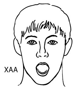 Иллюстрация к книге — Здоровые сосуды, или Зачем человеку мышцы? [Autogen_eBook_id17.jpg]