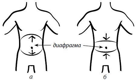 Иллюстрация к книге — Здоровые сосуды, или Зачем человеку мышцы? [Autogen_eBook_id18.jpg]