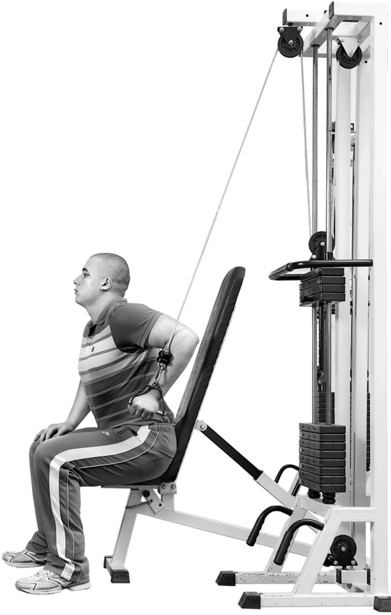 Иллюстрация к книге — Код здоровья сердца и сосудов [Autogen_eBook_id78.jpg]