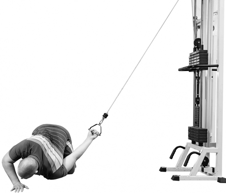 Иллюстрация к книге — Код здоровья сердца и сосудов [Autogen_eBook_id83.jpg]