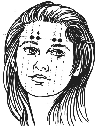 Иллюстрация к книге — Цветопунктура. 40 эффективных схем лечения [img1F4E.jpg]