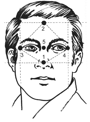 Иллюстрация к книге — Цветопунктура. 40 эффективных схем лечения [imgD391.jpg]