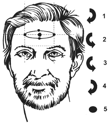 Иллюстрация к книге — Цветопунктура. 40 эффективных схем лечения [imgEE66.jpg]