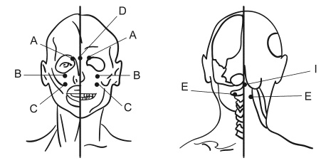 Иллюстрация к книге — Глаукома и катаракта. Лечение и профилактика [i_006.jpg]