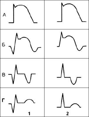 Иллюстрация к книге — Карманный справочник медицинских анализов [Autogen_eBook_id24.jpg]