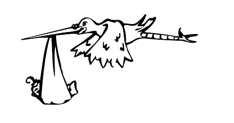 Иллюстрация к книге — Буду мамой! Все о беременности и первом годе жизни малыша. 1000 ответов на 1000 главных вопросов [i_001.jpg]