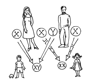 Иллюстрация к книге — Буду мамой! Все о беременности и первом годе жизни малыша. 1000 ответов на 1000 главных вопросов [i_007.jpg]