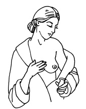 Иллюстрация к книге — Буду мамой! Все о беременности и первом годе жизни малыша. 1000 ответов на 1000 главных вопросов [i_013.jpg]