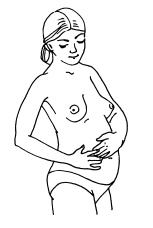 Иллюстрация к книге — Буду мамой! Все о беременности и первом годе жизни малыша. 1000 ответов на 1000 главных вопросов [i_014.jpg]