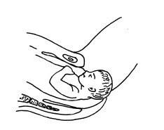 Иллюстрация к книге — Буду мамой! Все о беременности и первом годе жизни малыша. 1000 ответов на 1000 главных вопросов [i_031.jpg]